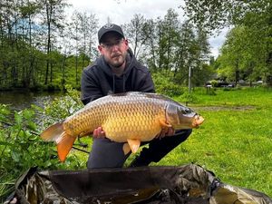 Common Carp