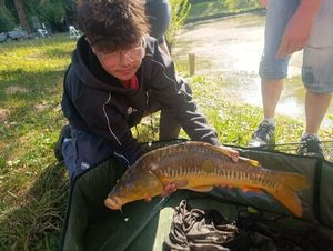 Mirror Carp