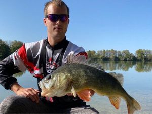 European Perch