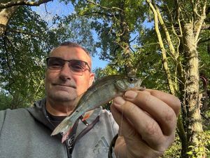 European Perch