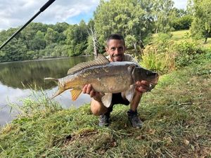 Mirror Carp