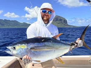 Yellowfin Tuna