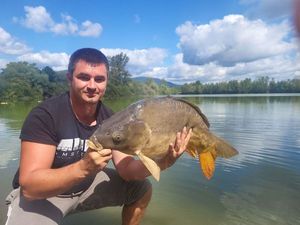 Mirror Carp