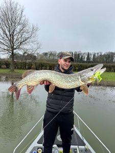 Northern Pike