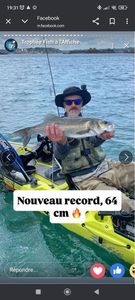 European Bass (Seabass)