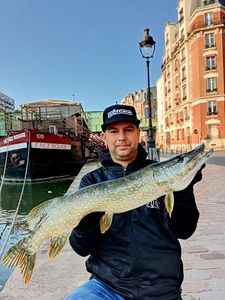 Northern Pike