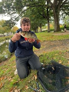 European Perch