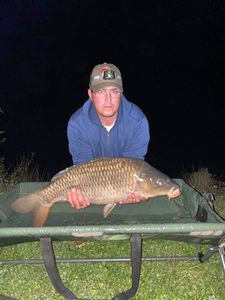 Common Carp