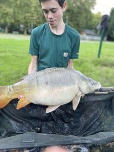 Mirror Carp