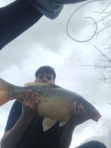 Leather Carp