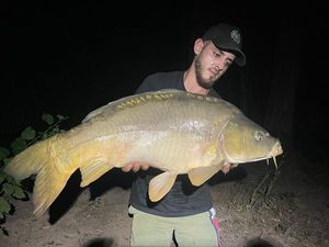 Mirror Carp