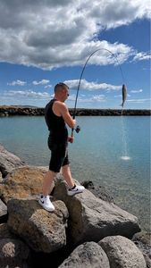 European Bass (Seabass)