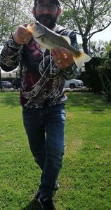 Largemouth Bass