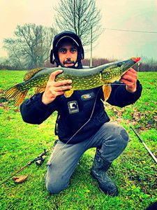 Northern Pike