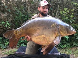 Mirror Carp
