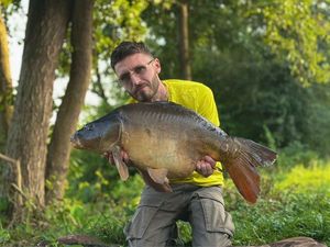 Mirror Carp
