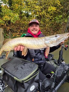 Northern Pike