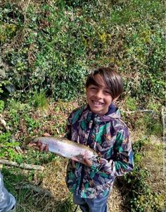 Rainbow Trout