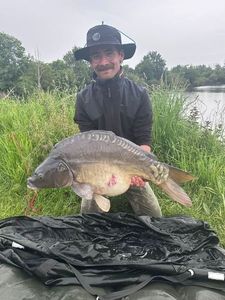 Mirror Carp