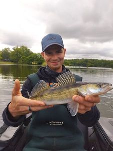 Zander