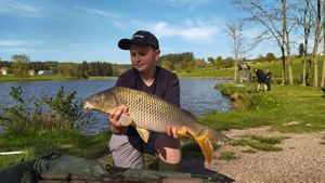 Common Carp