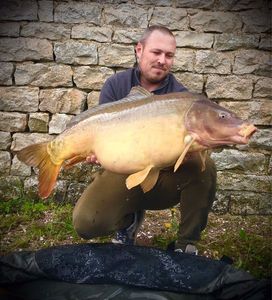 Mirror Carp