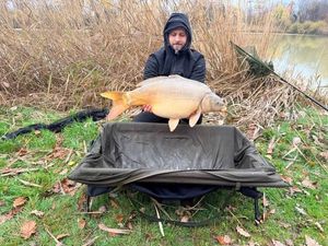 Mirror Carp
