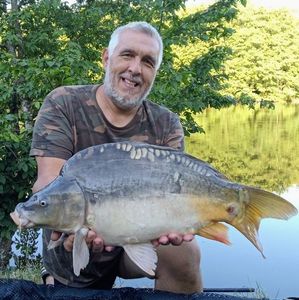 Mirror Carp