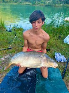 Mirror Carp