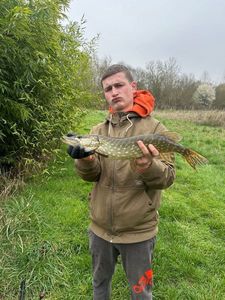 Northern Pike
