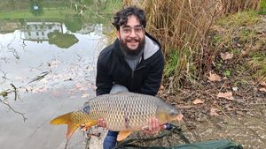 Common Carp
