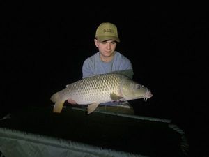 Common Carp