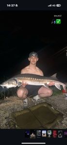 Sturgeon