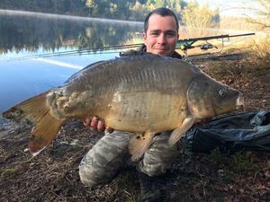 Mirror Carp