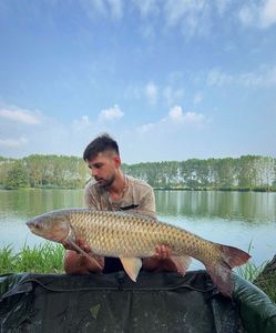 Grass Carp