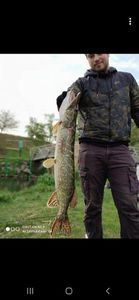 Northern Pike