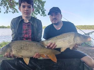 Common Carp