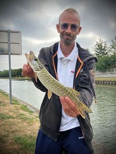 Northern Pike