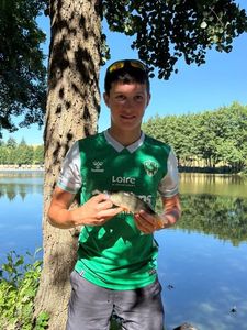 Yellow Perch