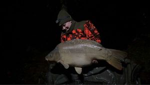 Mirror Carp