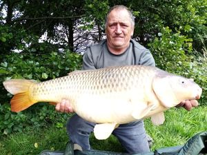 Common Carp