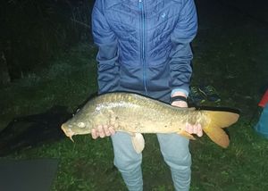 Leather Carp