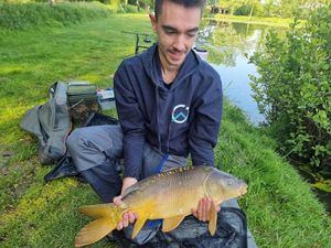 Mirror Carp