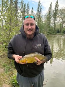 Tench