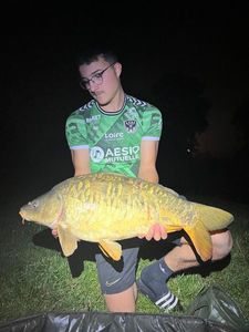 Mirror Carp