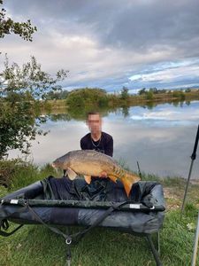 Mirror Carp