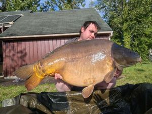 Mirror Carp