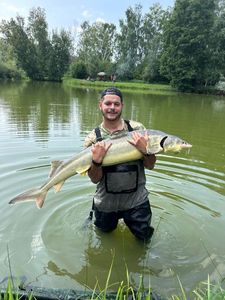 Sturgeon