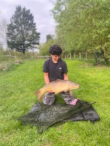 Mirror Carp