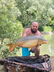 Mirror Carp